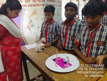 WhatsApp Image 2025-11-18 at 10.49.16 AM (1)