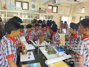 WhatsApp Image 2025-11-18 at 10.49.07 AM