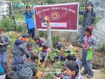 पर्यावरण दिवस 2025