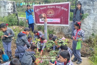 पर्यावरण दिवस 2025