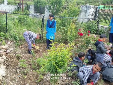 ENVIRONMENT DAY2 2025