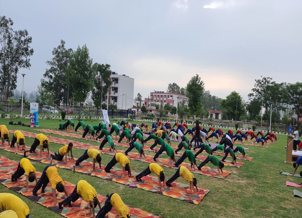 yoga day 2025