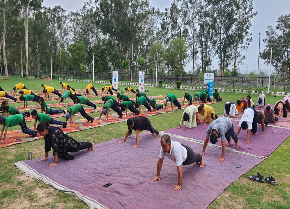 yoga day 2025