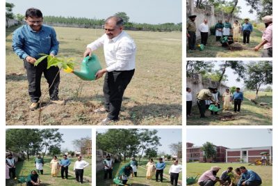 World Environment Day2025 EK PED Maa ke Naam