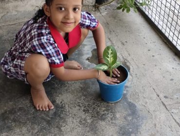 बच्चों द्वारा विश्व पर्यावरण दिवस
