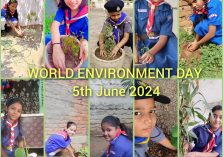 Environment Day Celebration;?>