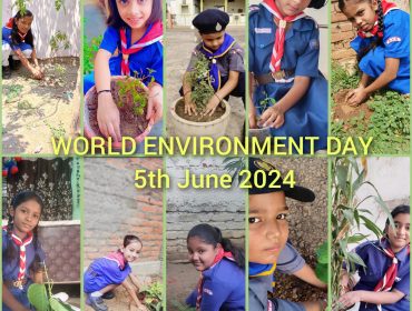 Environment Day Celebration