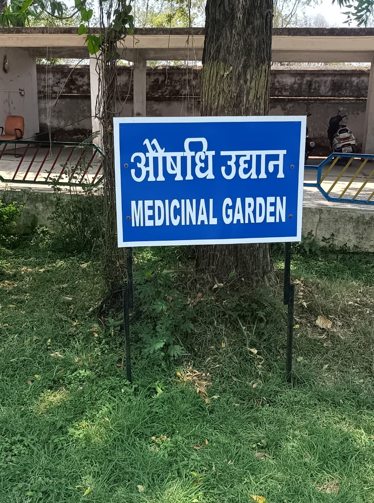 औषधीय उद्यान