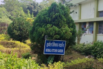 harbal garden