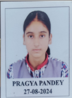प्रज्ञा पांडे