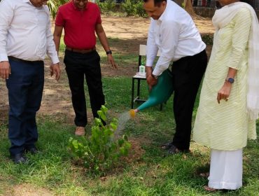 environment day