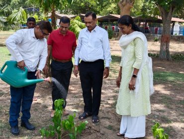 environment day