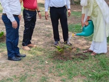 environment day