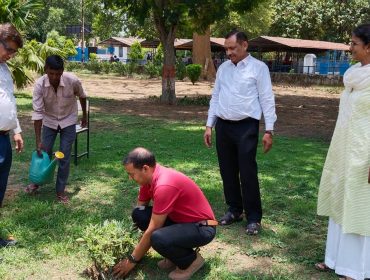 environment day