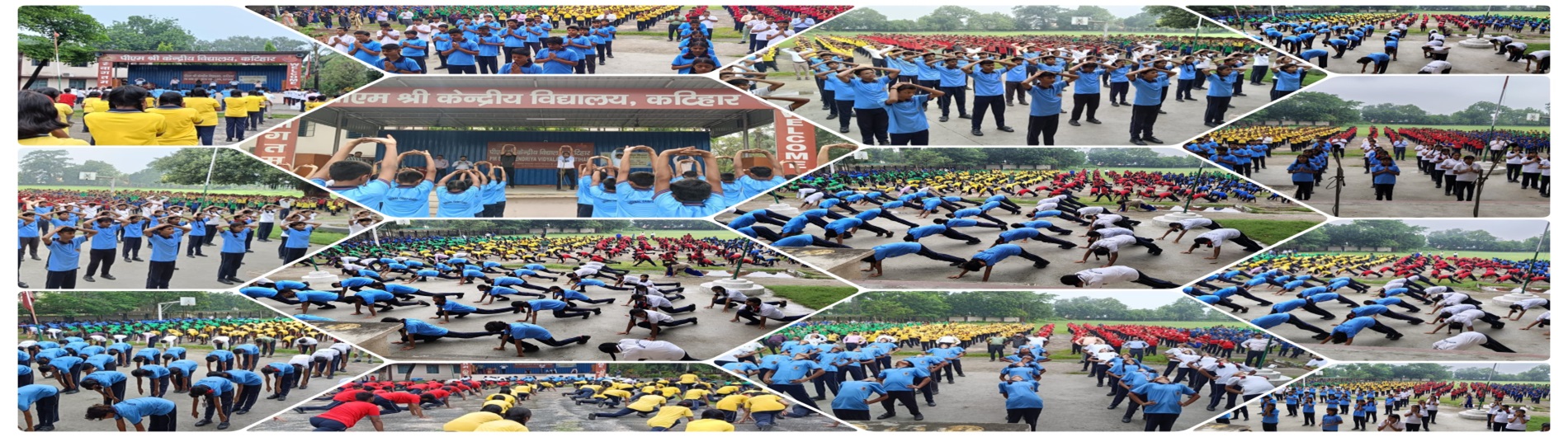 International Yoga Day-2025-26