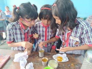 विभिन्न गतिविधियाँ