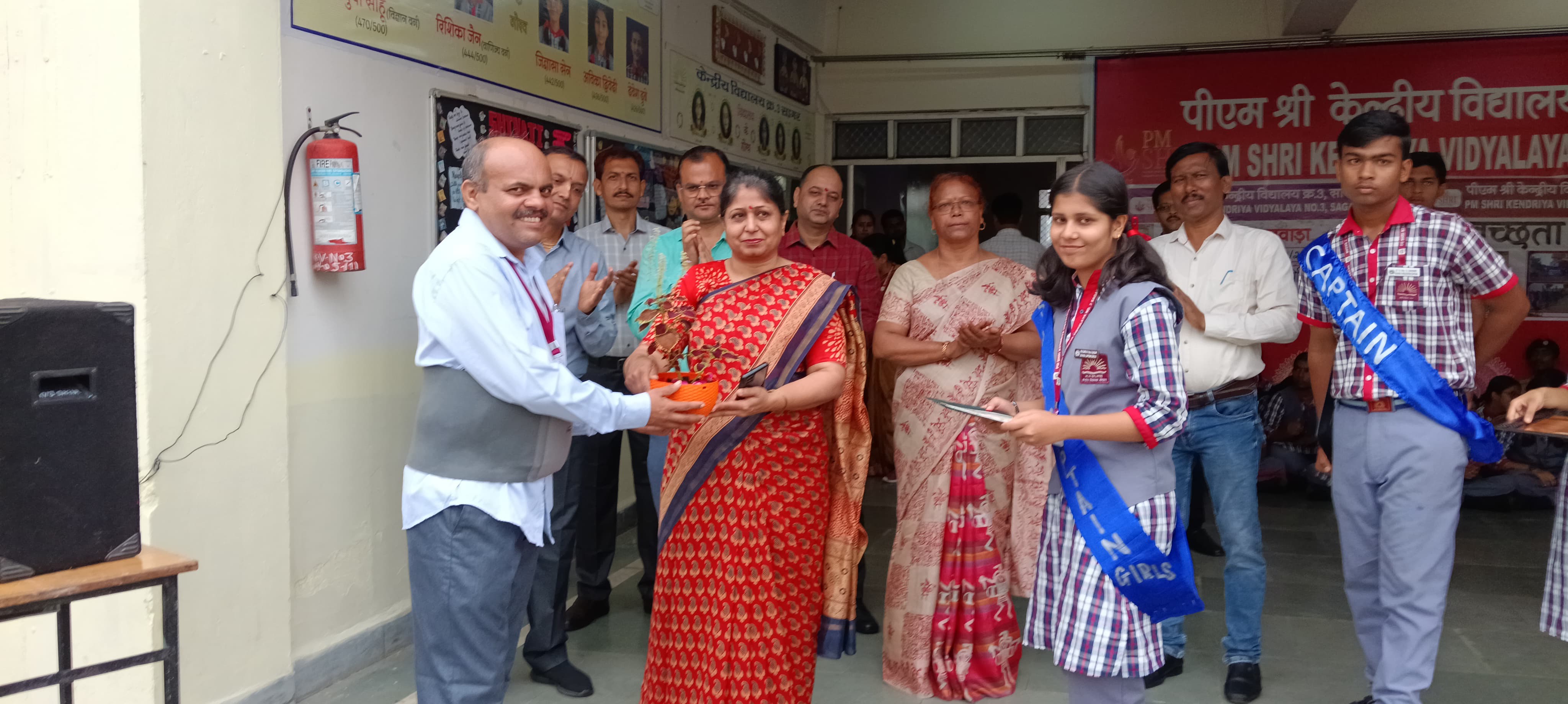 वार्षिक पैनल निरीक्षण