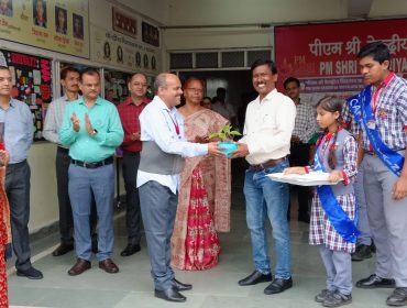 वार्षिक पैनल निरीक्षण