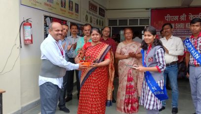 वार्षिक पैनल निरीक्षण