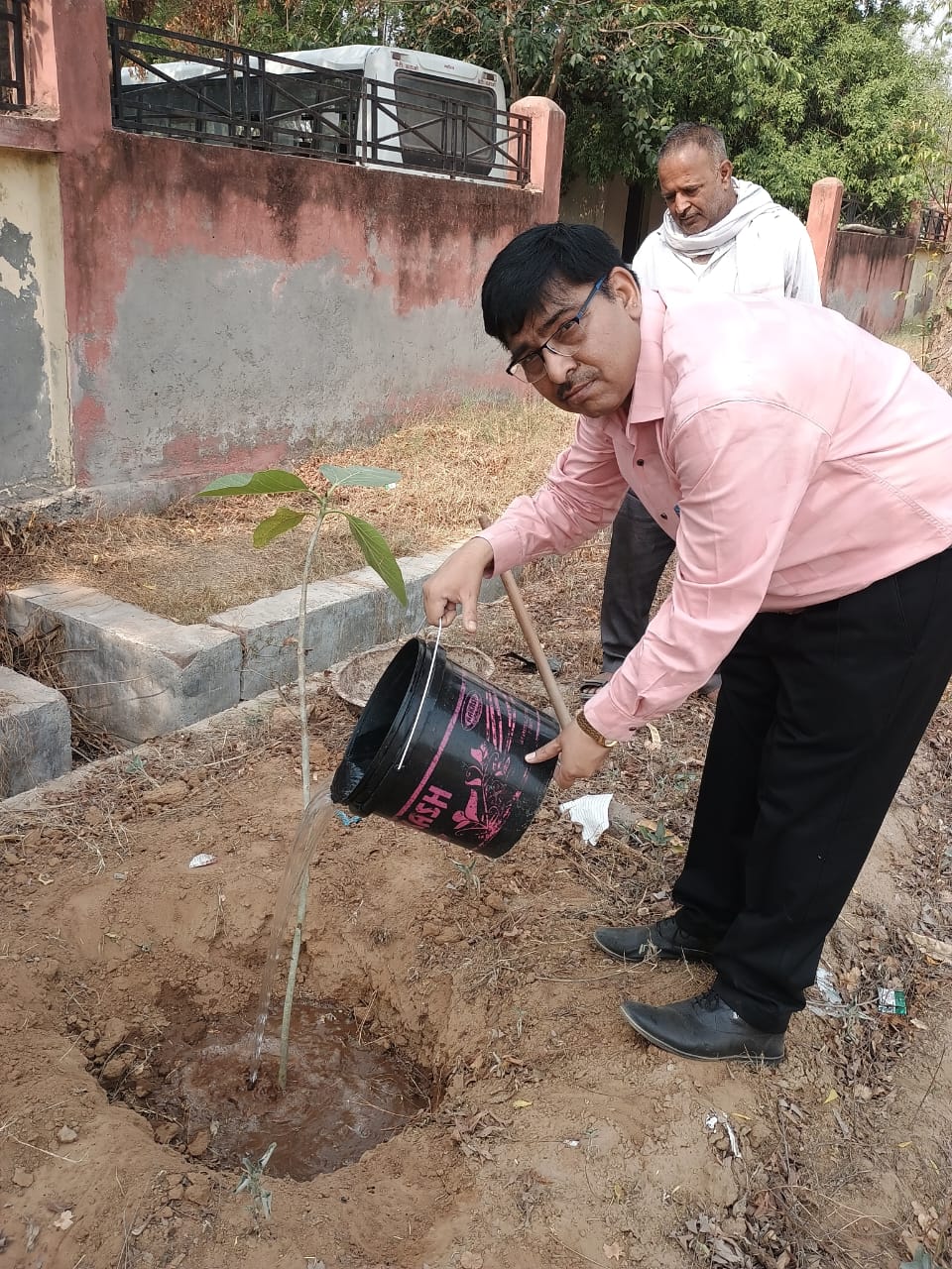 Plantation by Principal