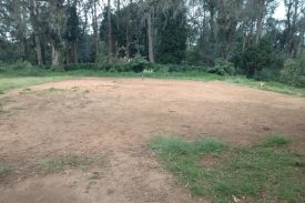 sports field