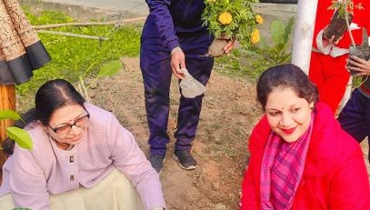 Tree Plantation