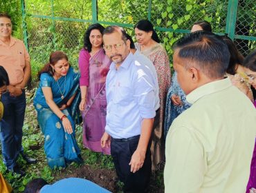 पौधारोपण