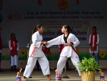 वार्षिक शैक्षणिक पैनल निरीक्षण