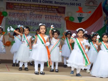 INDEPENDENCE DAY CELEBRATION