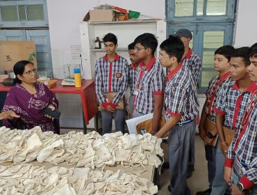 नमूना संग्रह बैग