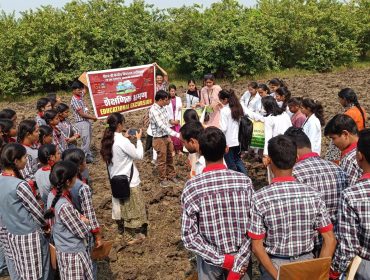 नमूना संग्रह