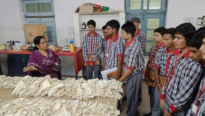 नमूना संग्रह बैग