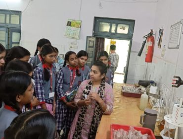 नमूना परीक्षण