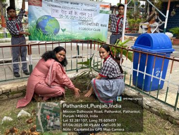 PLANTATION DRIVE