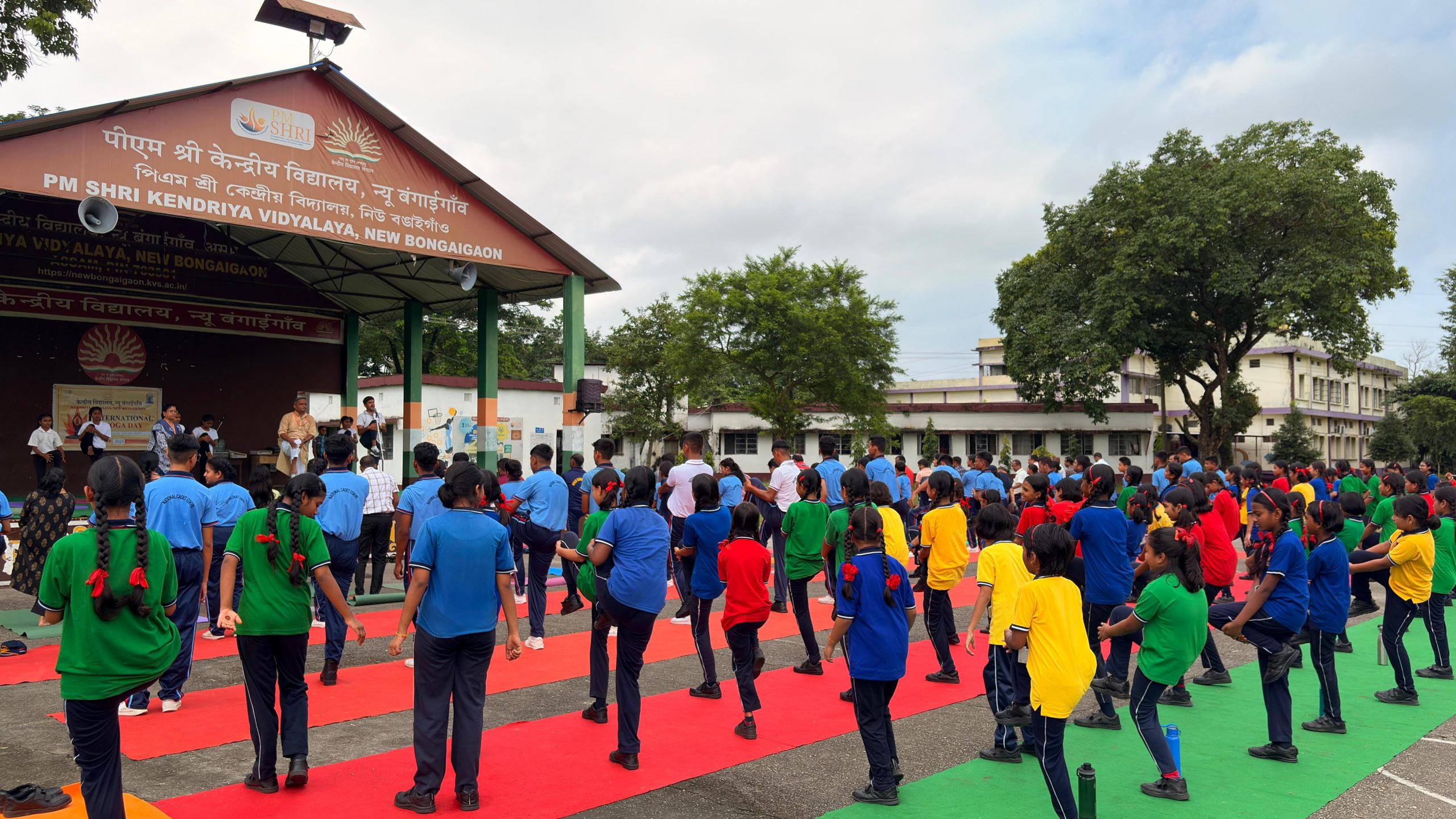 YOGA DAY FIVE