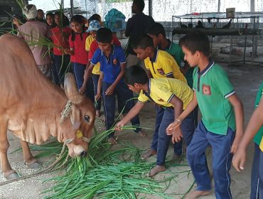 ONE DAY KISAN 15