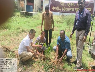 ब्रूक्षारोपण