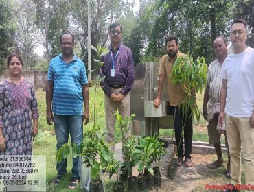 ब्रूक्षारोपण