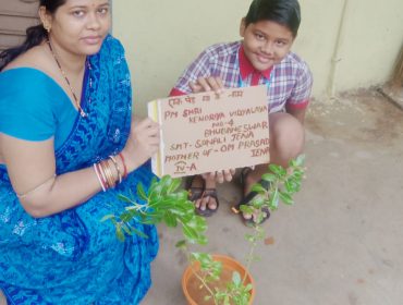 PLANT FOR MOTHER