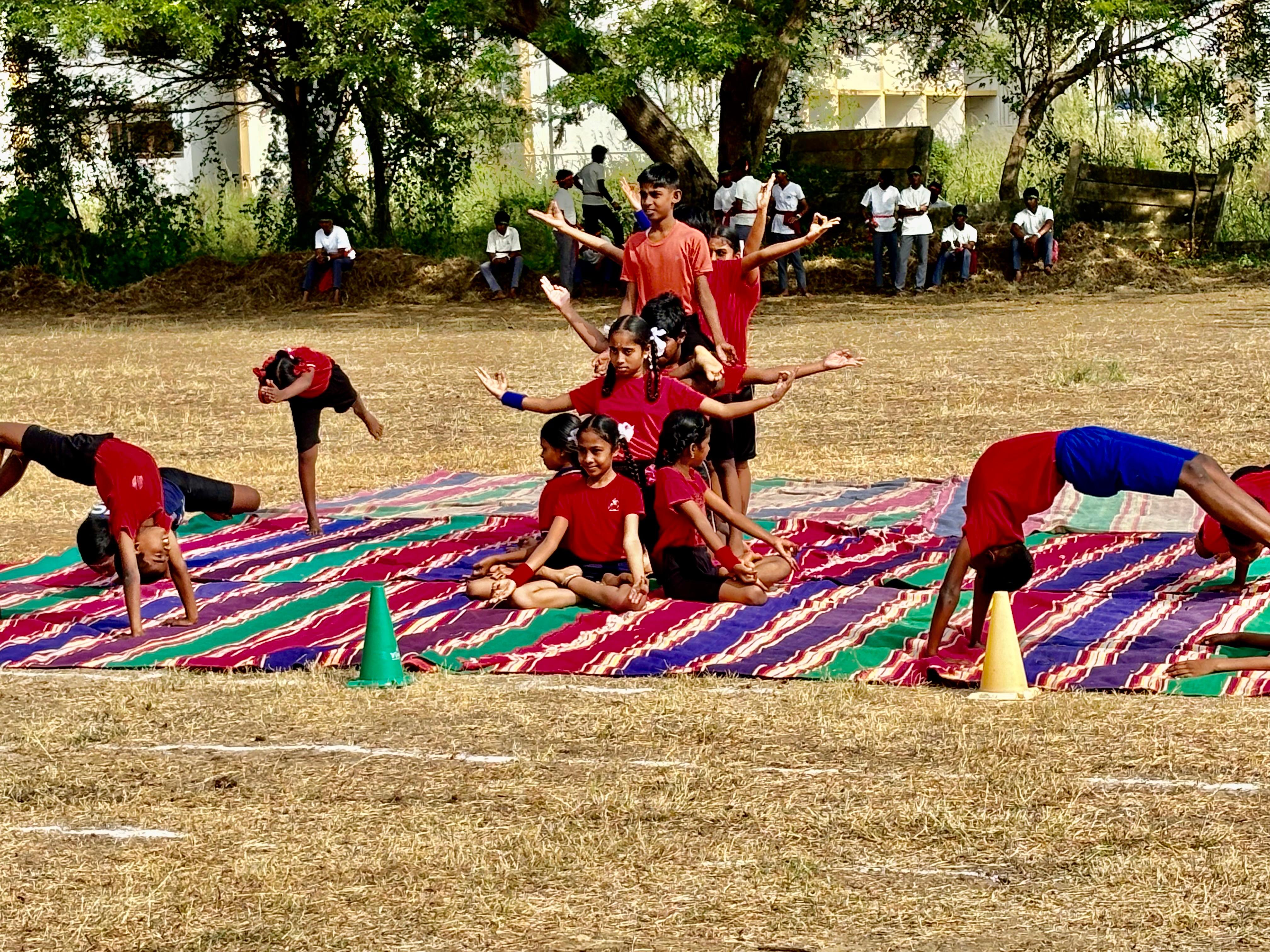 खेल गतिविधि