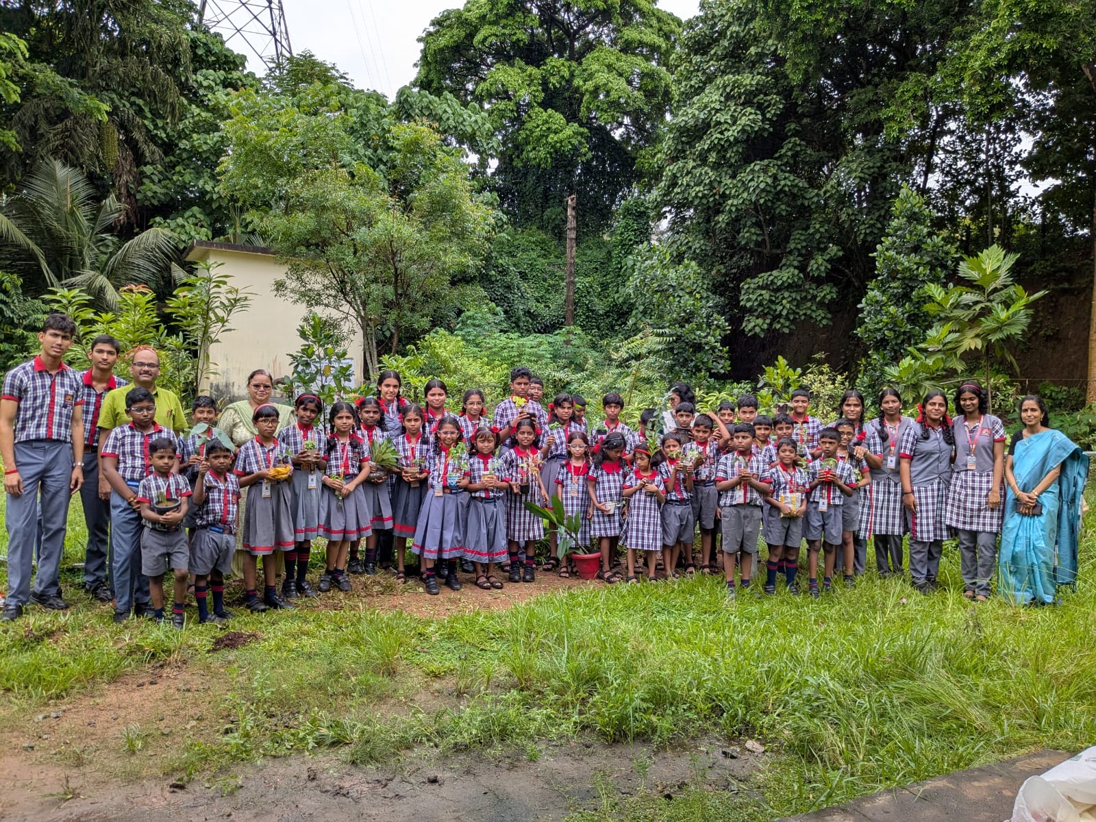 environmentdayone