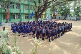 cubs and bulbuls