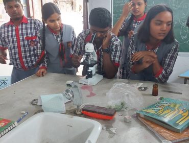 lab