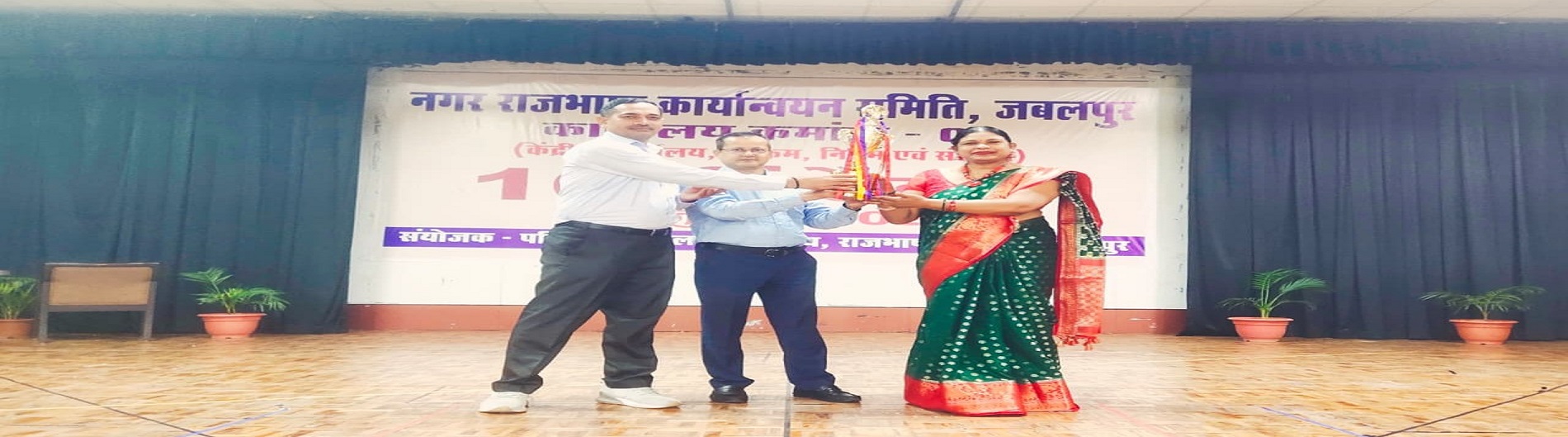 हिंदी राजभाषा