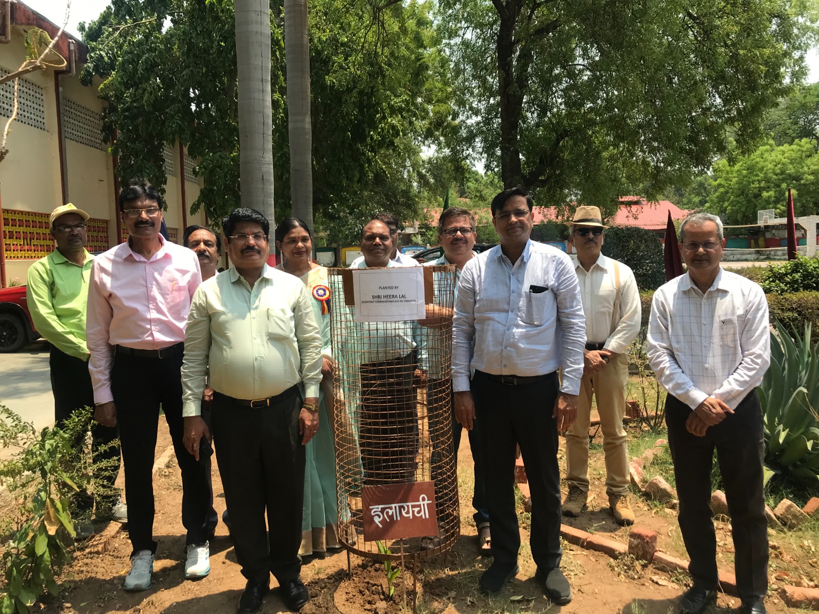 Tree Plantation