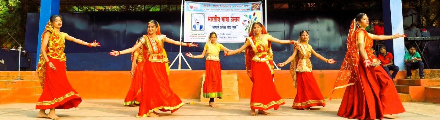 Bhasha Utsav