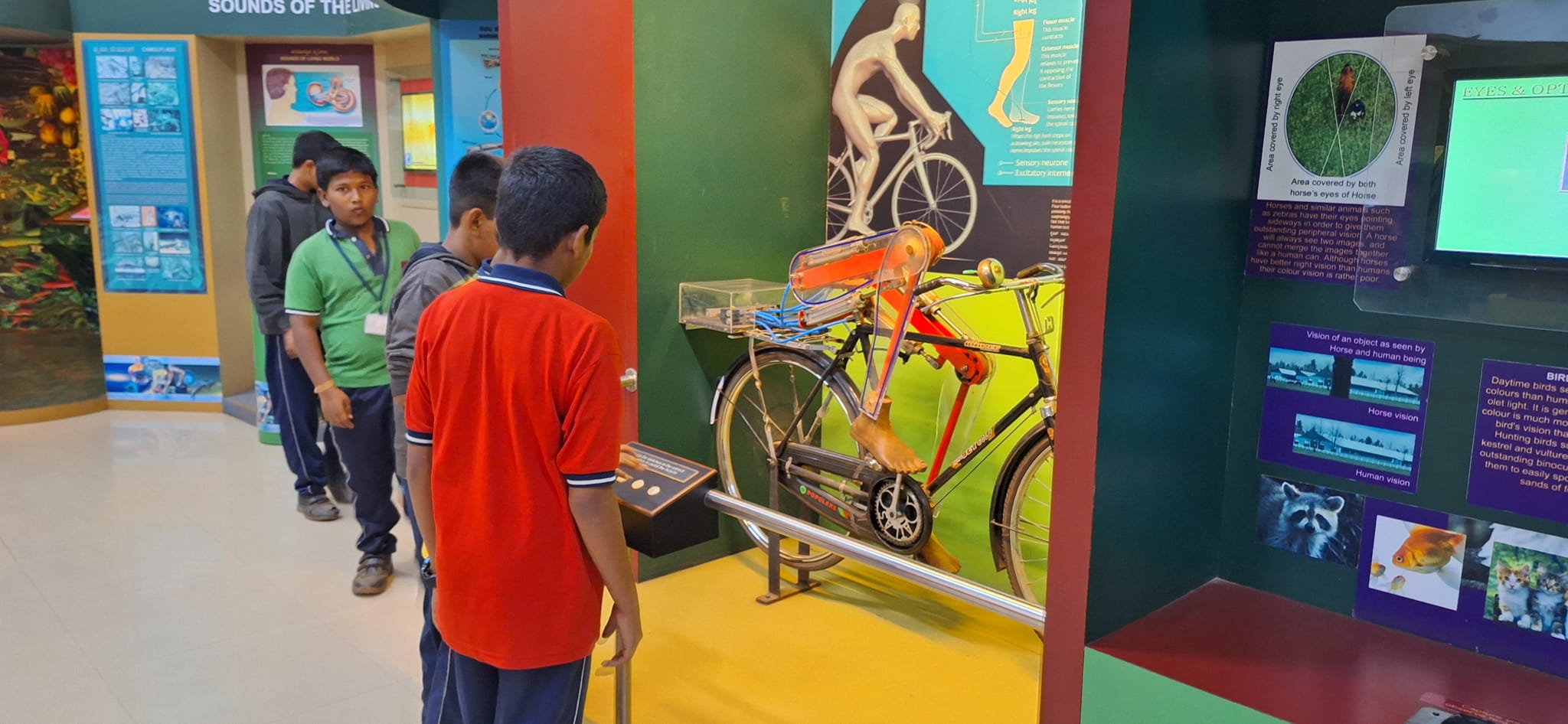 शैक्षिक यात्रा