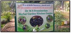 Herbal garden