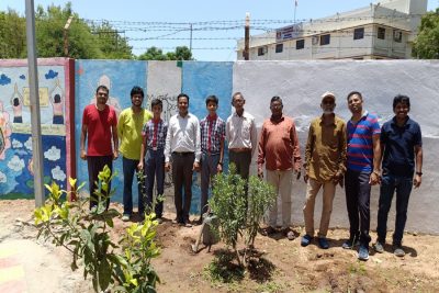 Tree Plantation