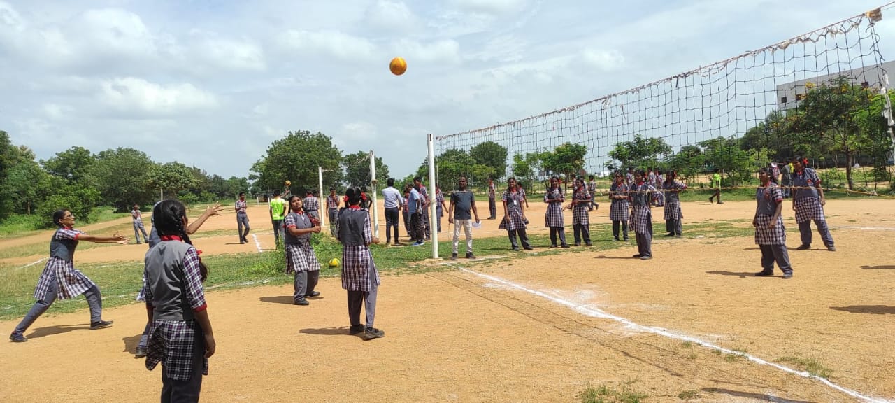 वॉलीबॉल